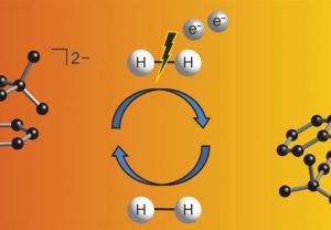 Neu entwickelte Borverbindungen können leicht Elektronen aufnehmen und damit das wichtige Wasserstoffmolekül spalten.