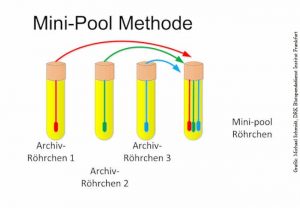 beitragsbild_mini_pool_methode_final