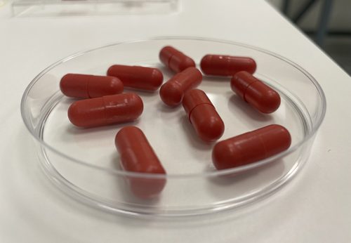 Wie Medikamente sehen die Kapseln aus, über die Patienten »gute« Bakterien zu sich nehmen, die Krankheitserreger im Darm verdrängen können. Foto: AG Maria Vehreschild