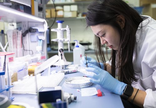 Dr. Ah Jung Heo, Postdoc im Labor Đikic, forscht daran, wie krankheitsrelevante Proteine gezielt abgebaut werden könnten. Foto: Peter Kiefer