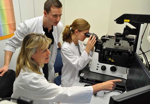 Am Mikroskop: Prof. Stefanie Dimmeler mit Dr. Julian Wagner und Dr. Simone-Franziska Glaser. Foto: Jürgen Lecher