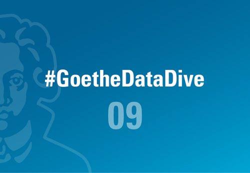 GoetheDataDive#9_StudentAuslandsmobilität_Web_univ_650x450px