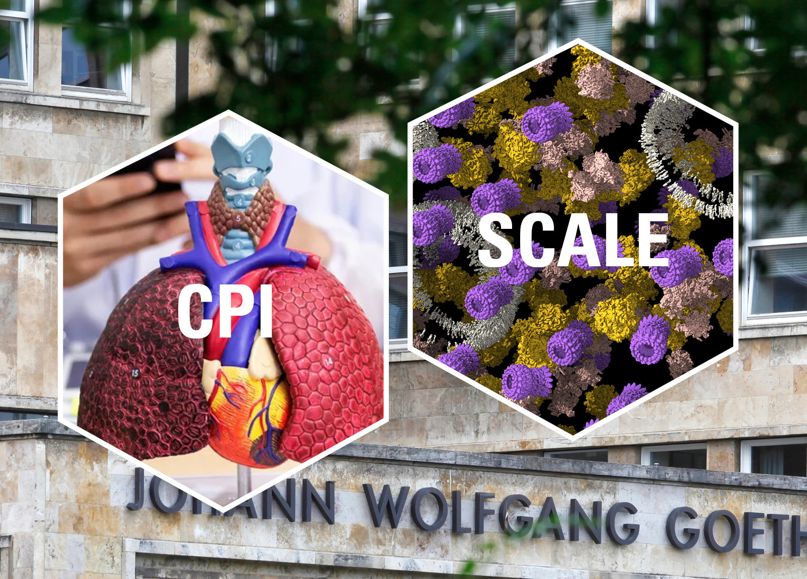 <div style="margin-top: 15px; margin-bottom: 15px;">Exzellenzwettbewerb</div>