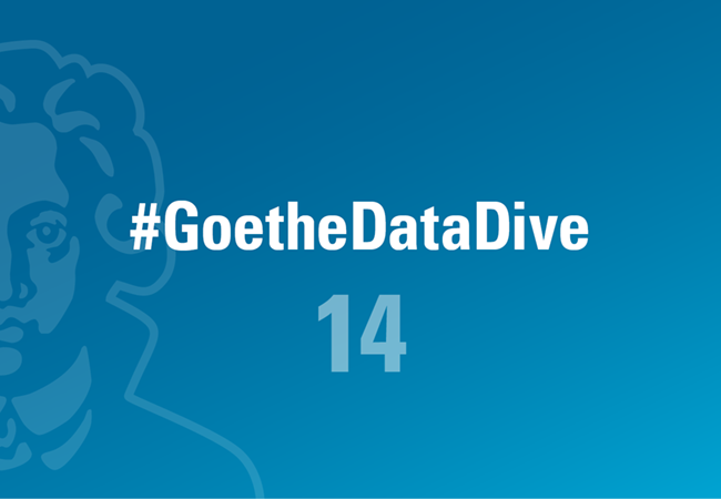 GoetheDataDive#14_Erwerbstätigkeit_650x450px (1)