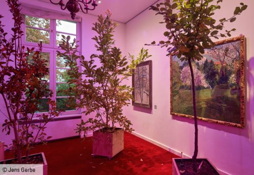 Bäume in einem Raum vor Bildern. © Jens Gerbe