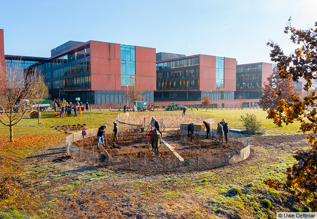 Menschen auf dem Campus Riedberg bei der Tiny Forest Pflanzaktion © Uwe Dettmar