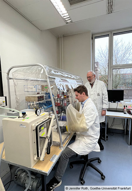 Raphael Trischler (sitzend) und Volker Müller im Labor an einer Anaerobenkammer. Diese enthält keinen Sauerstoff, sondern Stickstoff, so dass Sauerstoff-sensible Bakterien wie Blautia luti darin gefahrlos gehalten werden können. © Jennifer Roth, Goethe-Universität Frankfurt